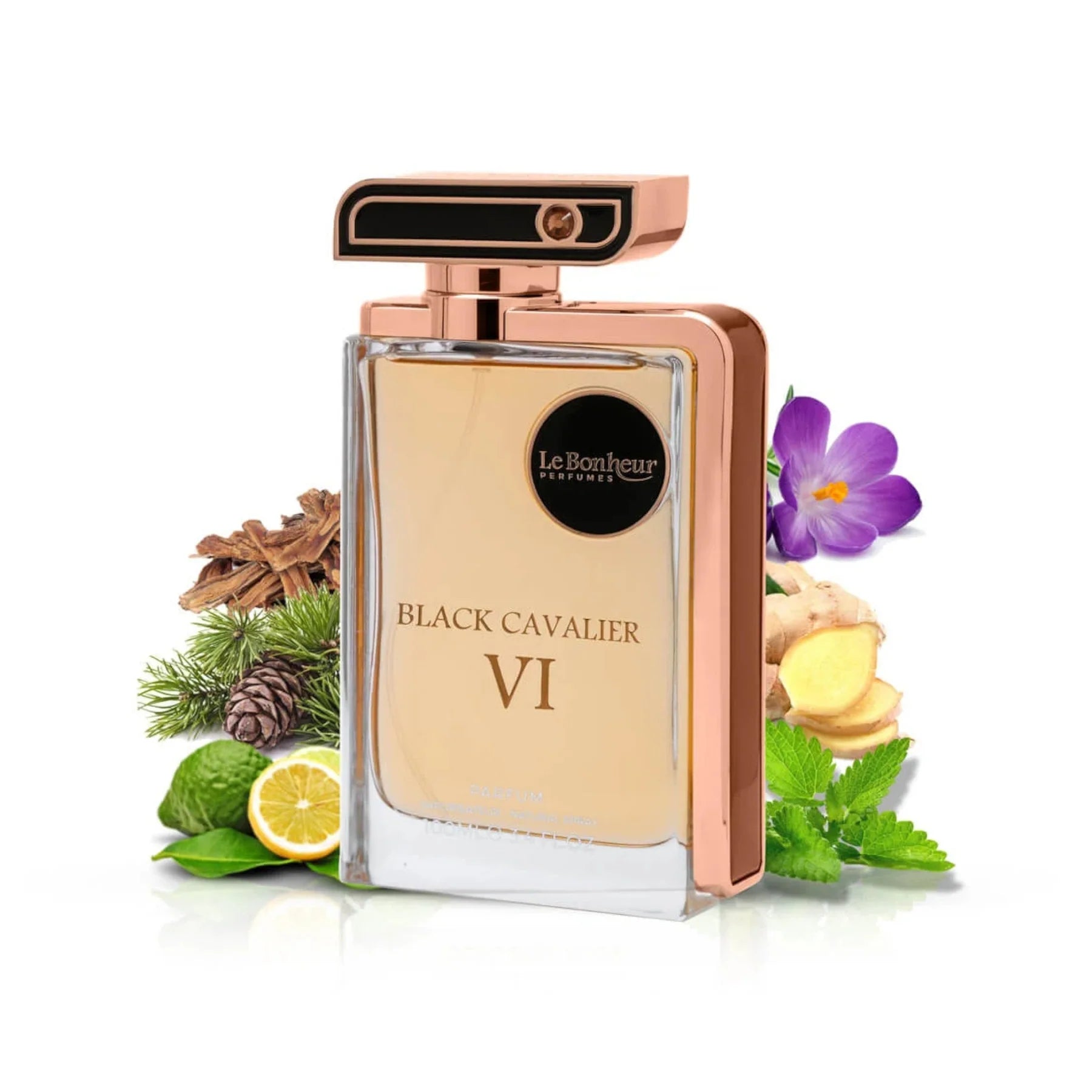 Black Cavalier VI 100ml Eau De Parfum By Le Bonheur